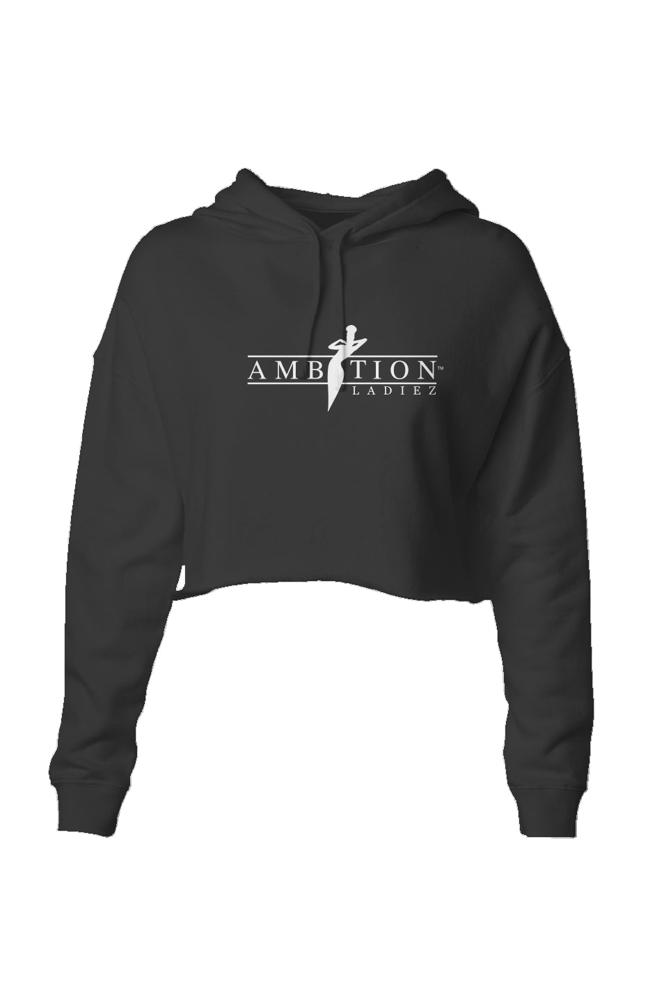 Classic Logo Crop Hoodie