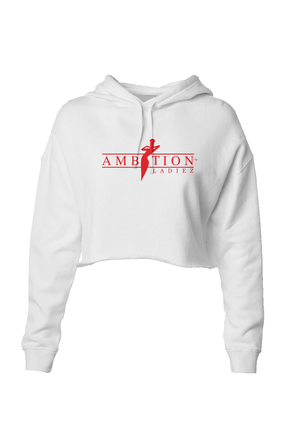 Classic Logo Crop Hoodie